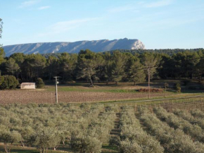 Domaine de L'Olibaou